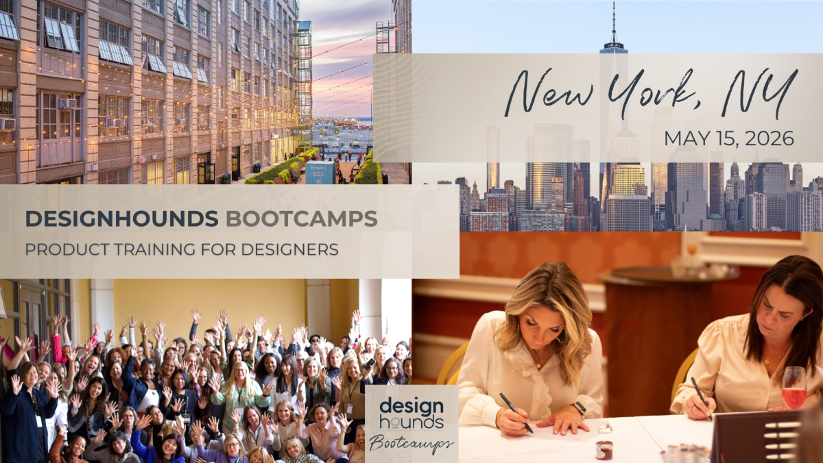 Designhounds Bootcamps – Empowerment through Knowledge
